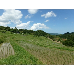 鴨川市平塚の物件詳細｜懐かしい棚田の景色が残る地域【房総不動産ネットワーク】【外観2】