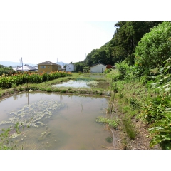 鴨川市東町の物件詳細｜池あり山あり田舎遊びの理想【房総不動産ネットワーク】【外観5】