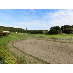 館山市竜岡の物件詳細｜田園風景に囲まれた平家物件です　
軽量鉄骨造の倉庫付き【房総不動産ネットワーク】【外観2】