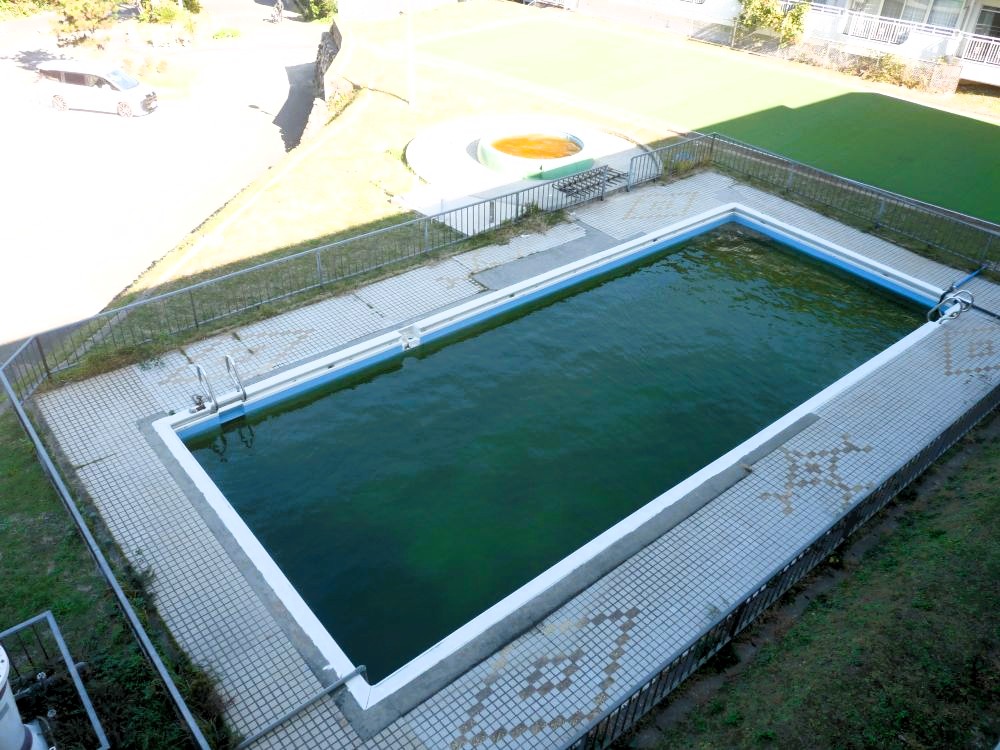 夏季に利用できるプール